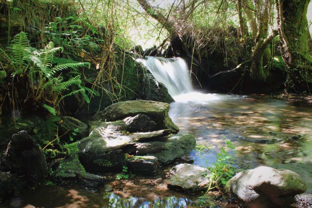 Prés et montagne à Cangas del Narcea